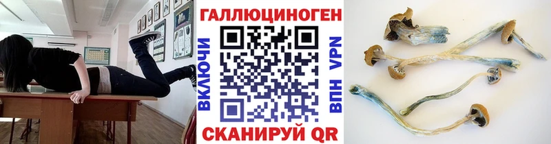 Купить где  Великие Луки  Галлюциногенные грибы Cubensis 