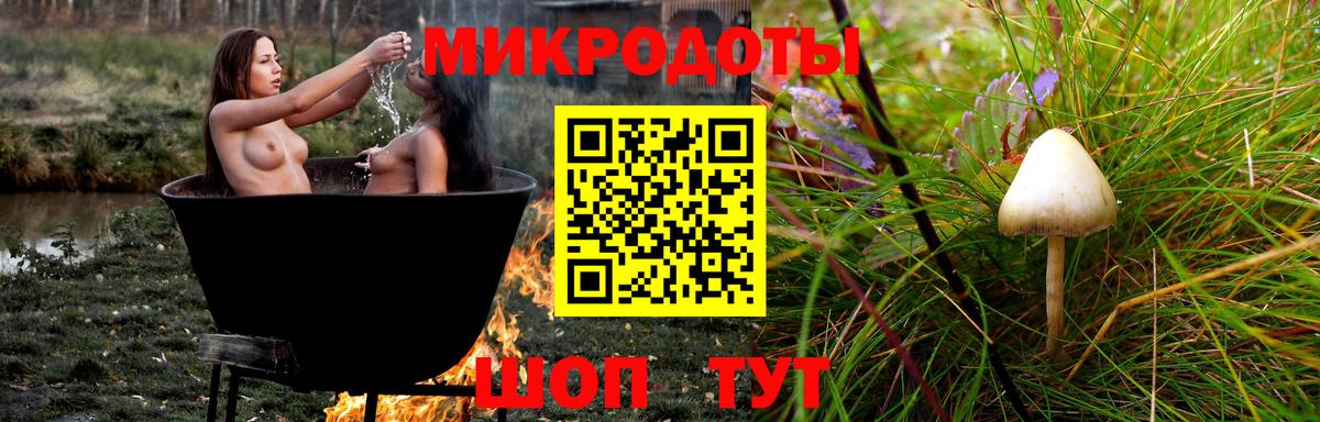 Великие Луки  Галлюциногенные грибы MAGIC MUSHROOMS  Вход с VPN 
