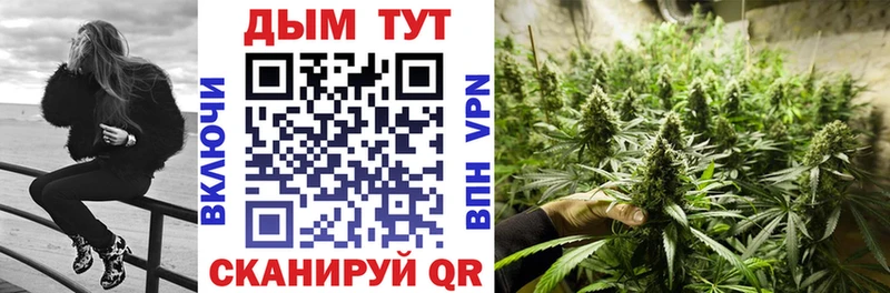 Купить  Великие Луки  Канабис OG Kush 